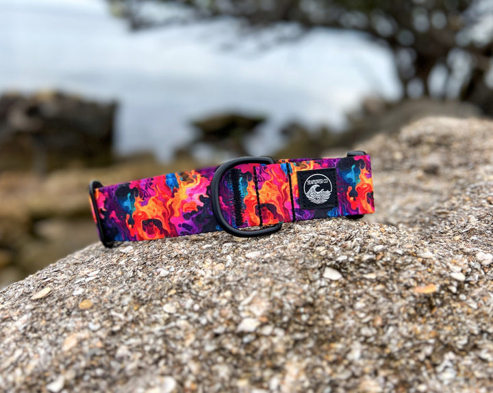 Vibrant Flames Dog Collar | SeaFlower Co