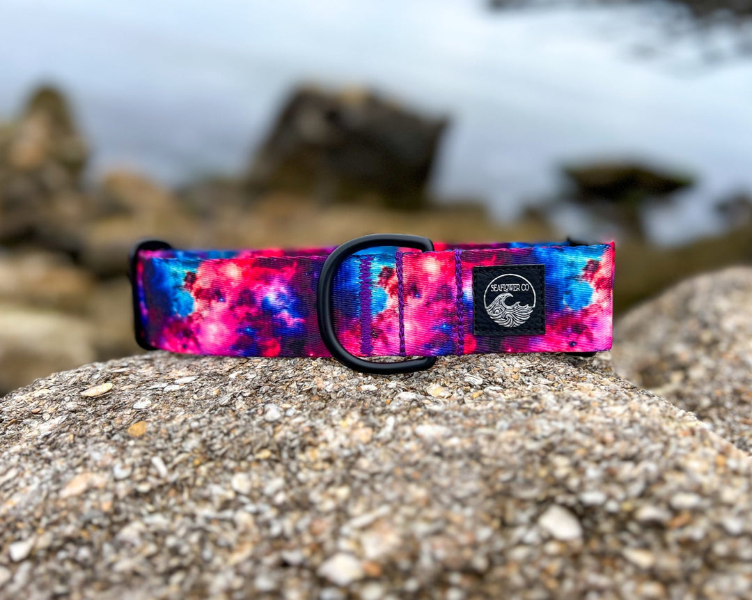 Galaxy Dog Collar | SeaFlower Co