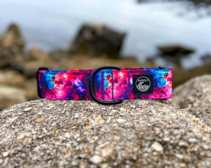 Galaxy Dog Collar | SeaFlower Co