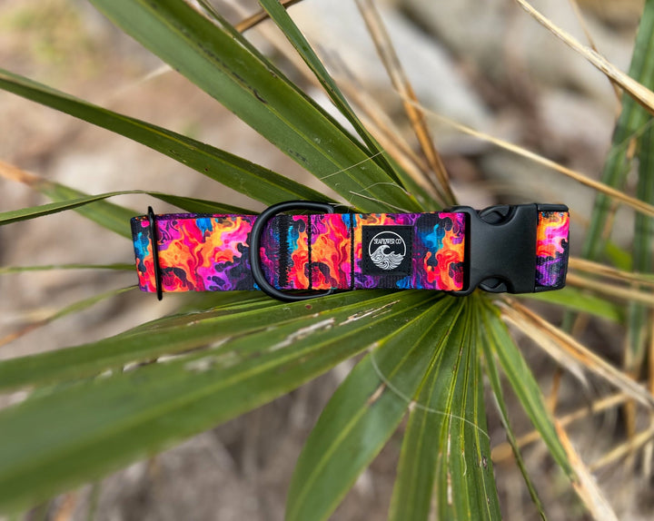 Vibrant Flames Dog Collar | SeaFlower Co
