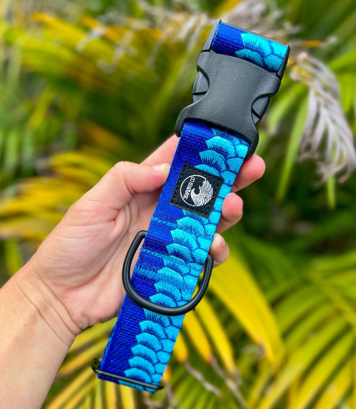 Tarpon Scales Dog Collar | SeaFlower Co