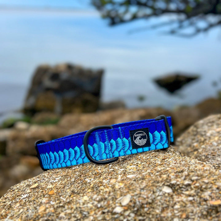 Tarpon Scales Dog Collar | SeaFlower Co
