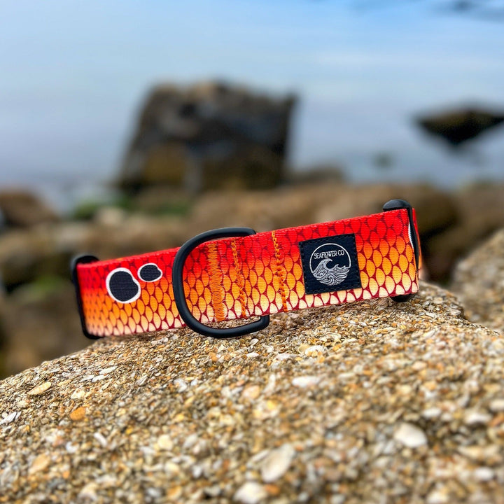 Redfish Scales Dog Collar | SeaFlower Co