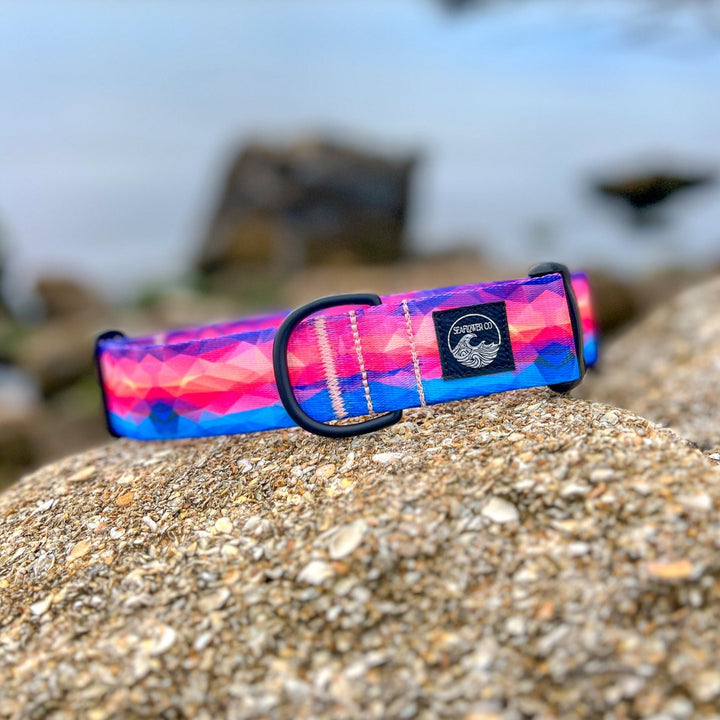 Vibrant Abstract Dog Collar | SeaFlower Co