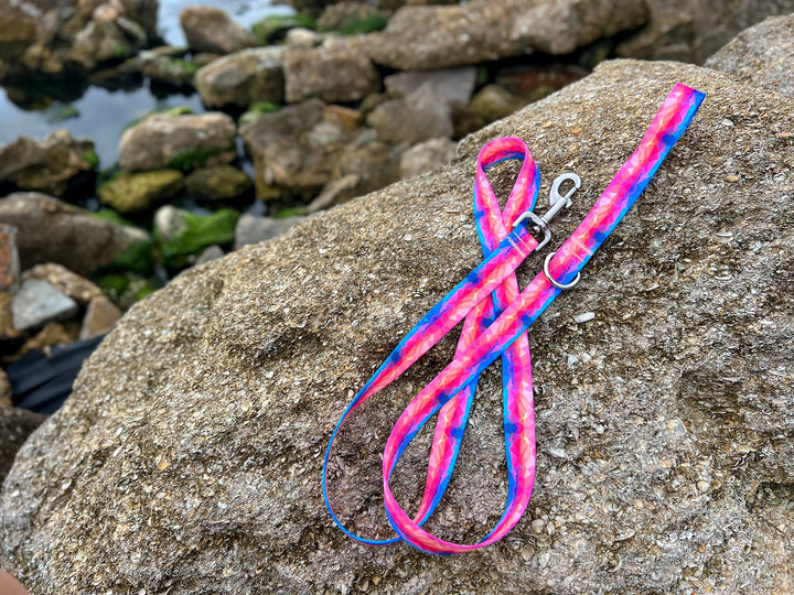 Vibrant Abstract Dog Leash | SeaFlower Co