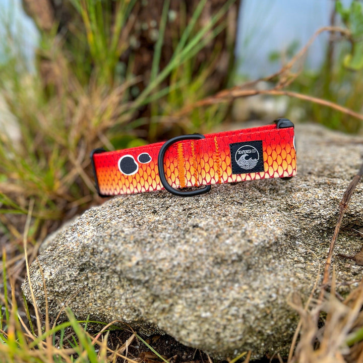 Redfish Scales Dog Collar | SeaFlower Co