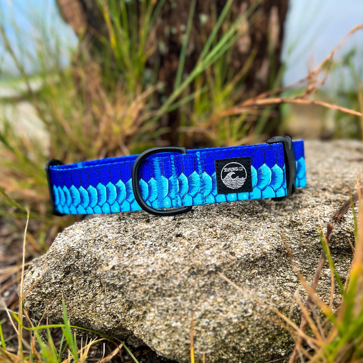 Tarpon Scales Dog Collar | SeaFlower Co