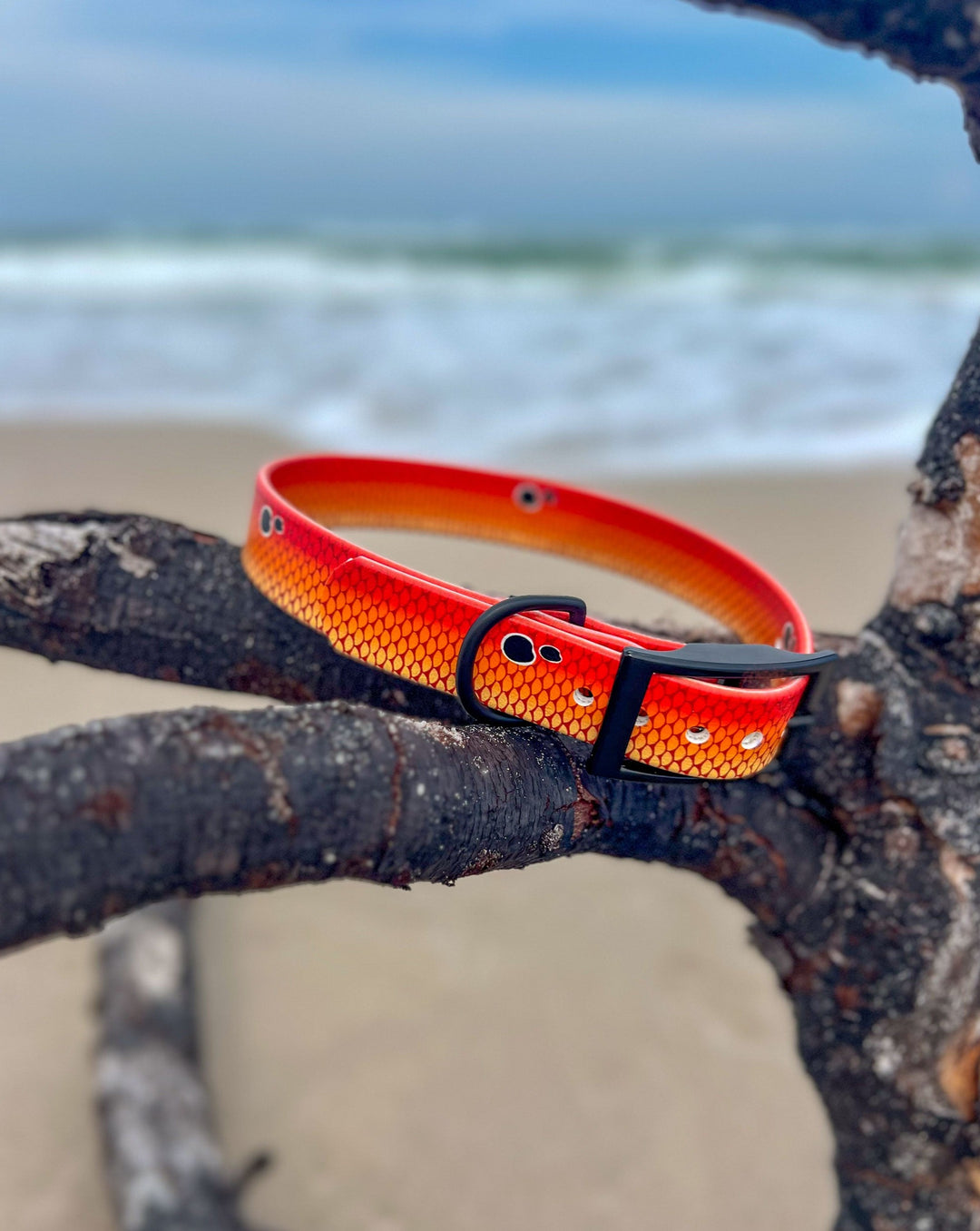 Redfish Waterproof BioThane® Dog Collar | SeaFlower Co