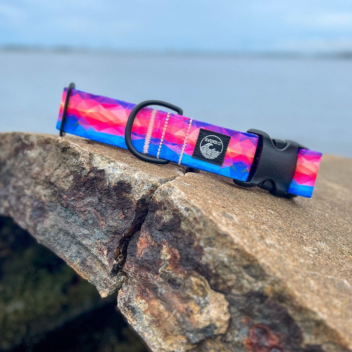 Vibrant Abstract Dog Collar | SeaFlower Co