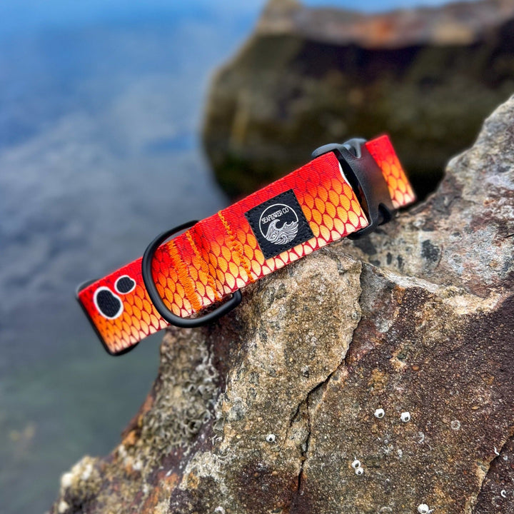Redfish Scales Dog Collar | SeaFlower Co