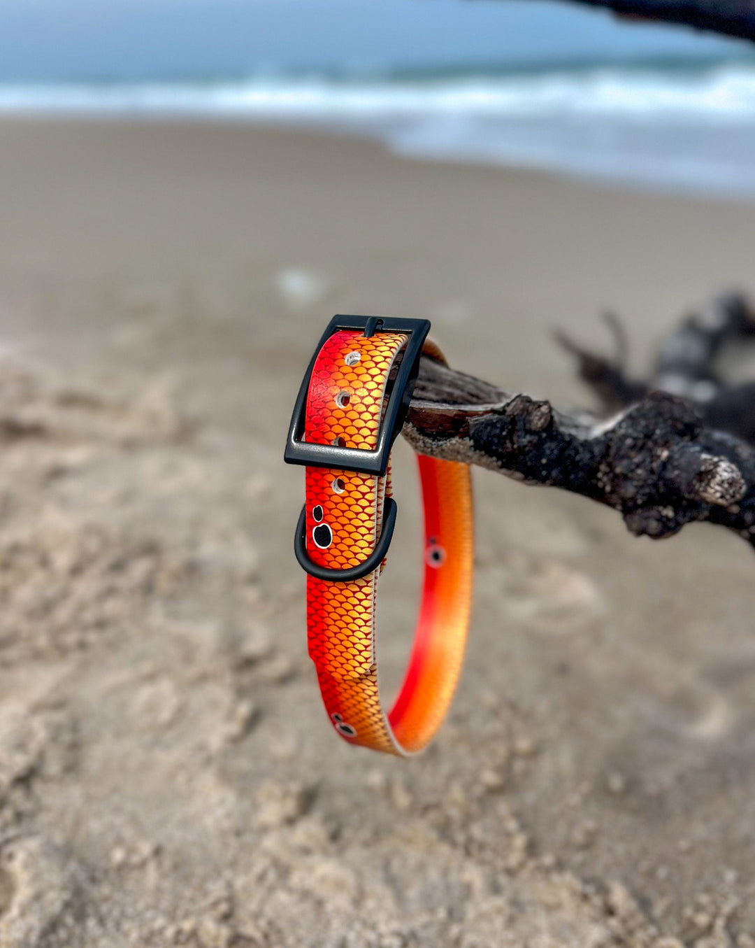 Redfish Waterproof BioThane® Dog Collar | SeaFlower Co