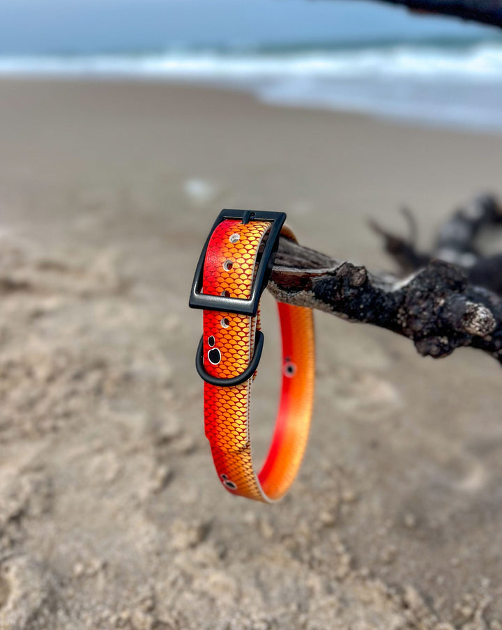 Redfish Waterproof BioThane® Dog Collar | SeaFlower Co