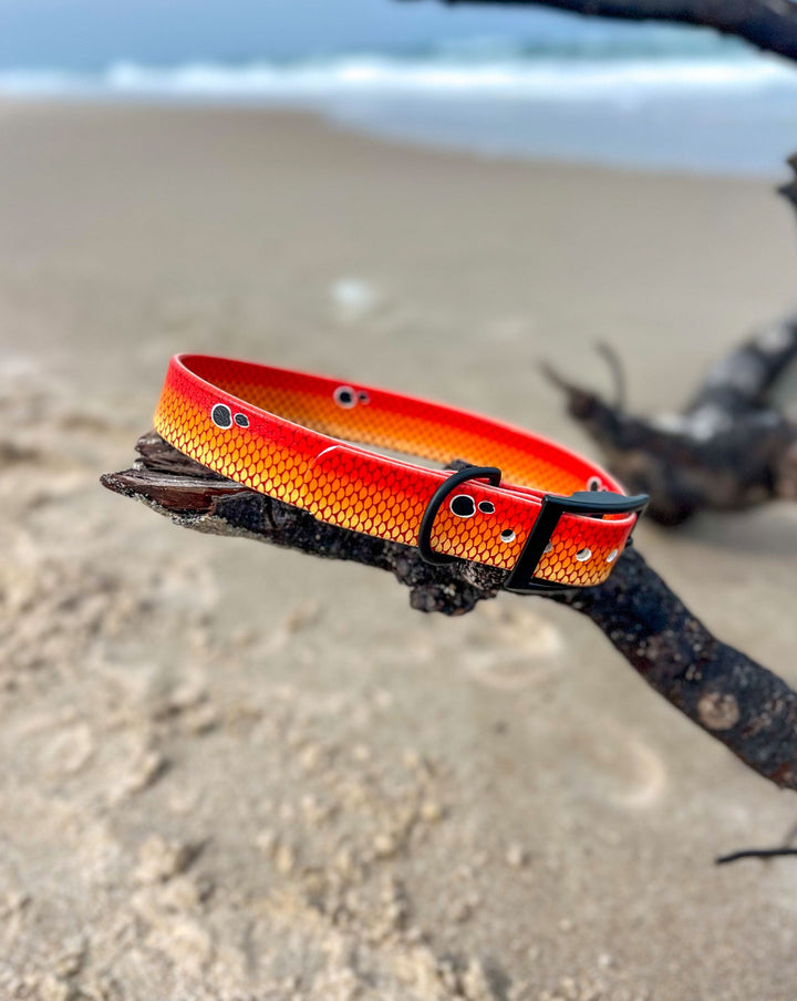 Redfish Waterproof BioThane® Dog Collar | SeaFlower Co