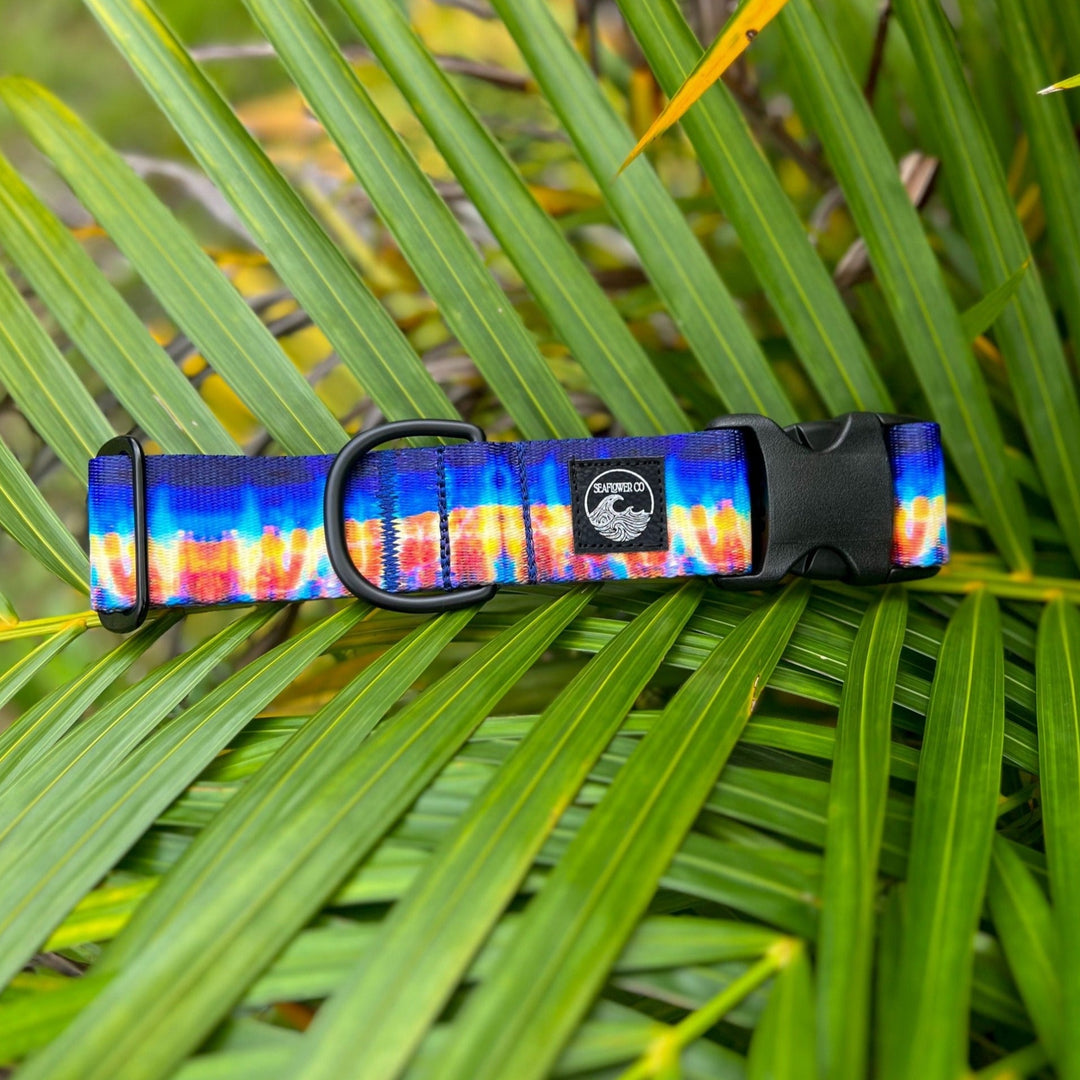 Wahoo Dog Collar | SeaFlower Co