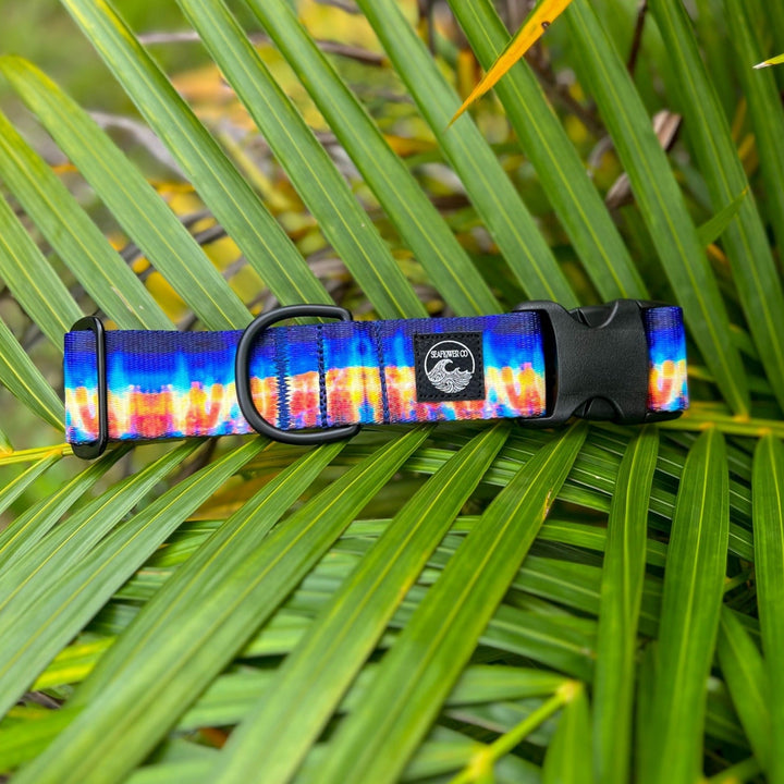 Wahoo Dog Collar | SeaFlower Co