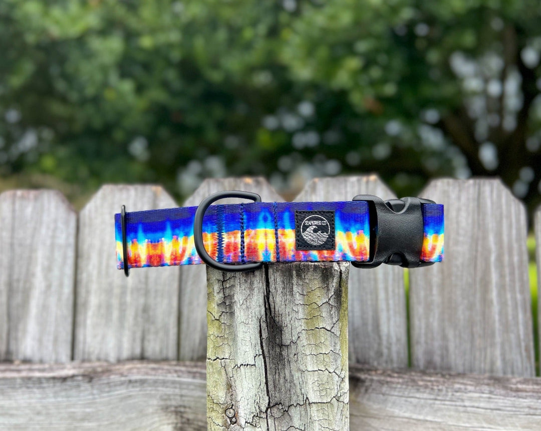 Wahoo Dog Collar | SeaFlower Co