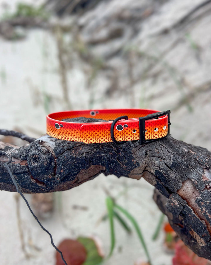 Redfish Waterproof BioThane® Dog Collar | SeaFlower Co