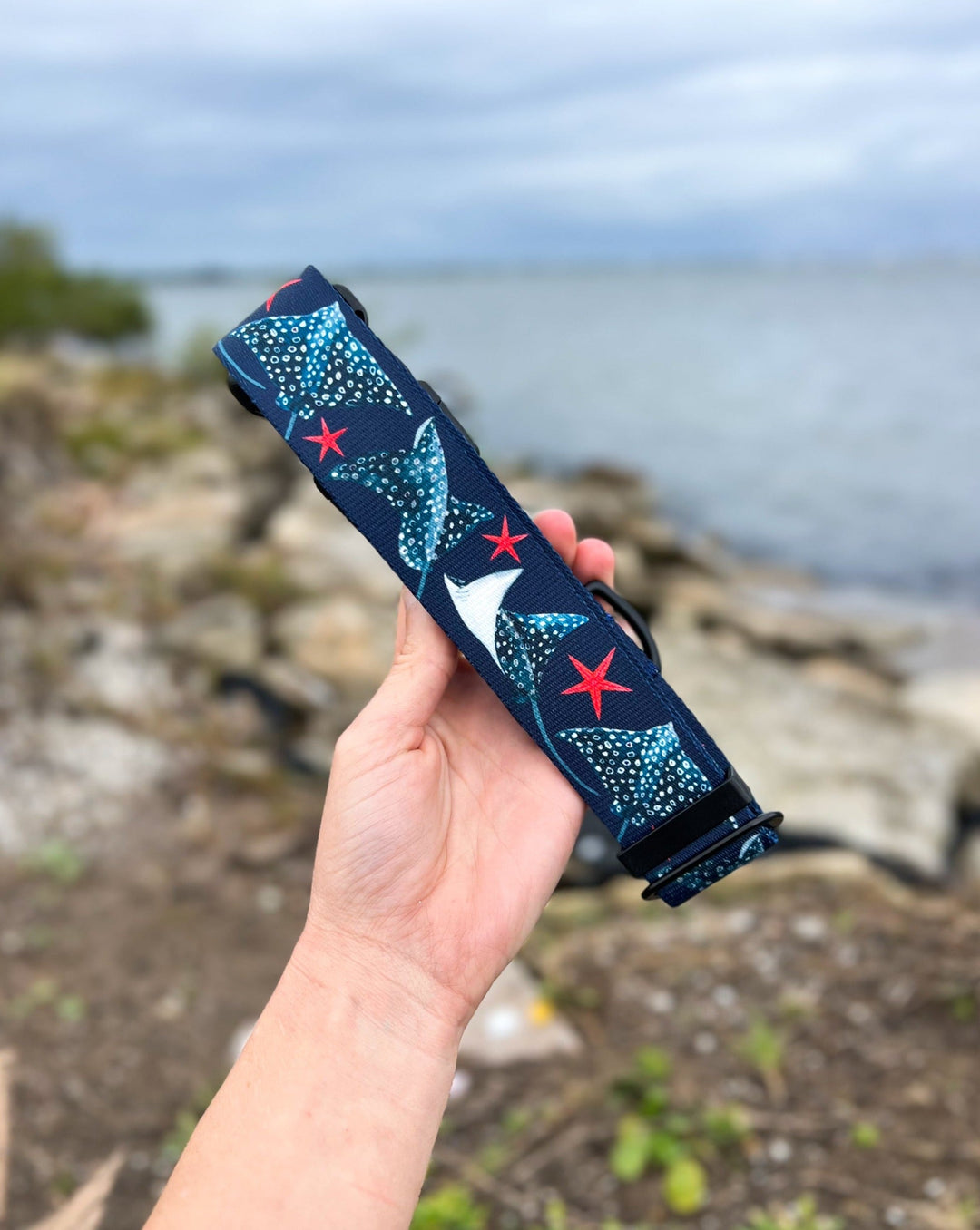 Spotted Eagle Ray Pet Collar | Stylish & Durable Dog Gear