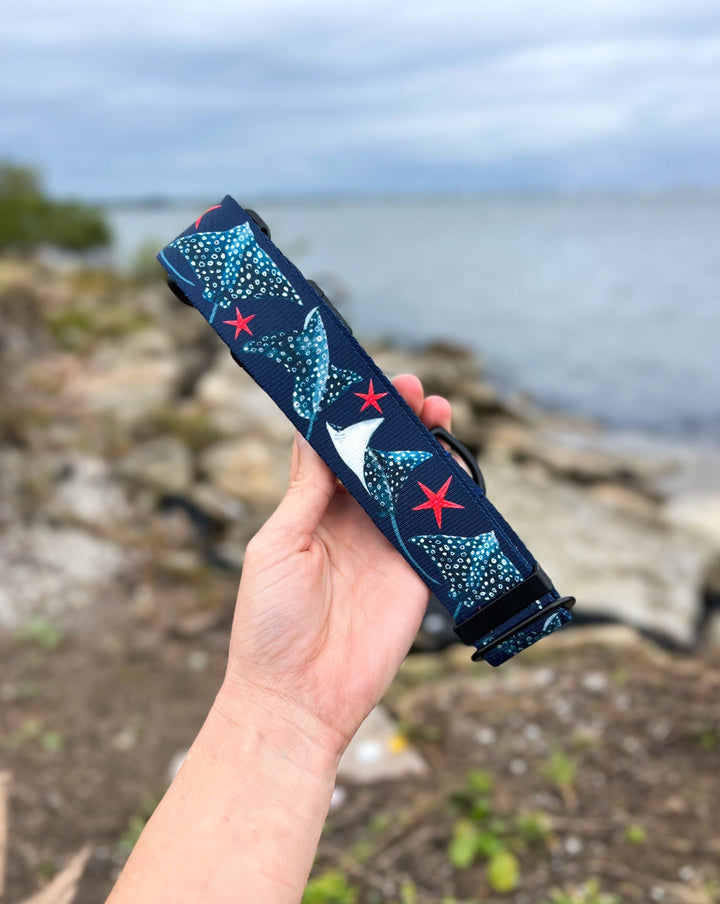 Spotted Eagle Ray Pet Collar | Stylish & Durable Dog Gear