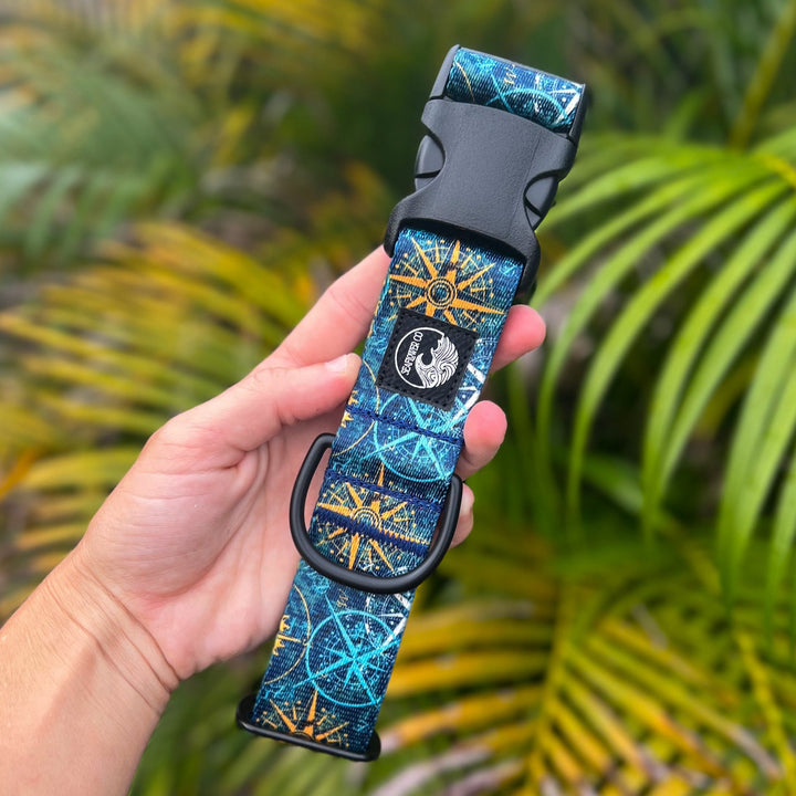 Compass Dog Collar | SeaFlower Co