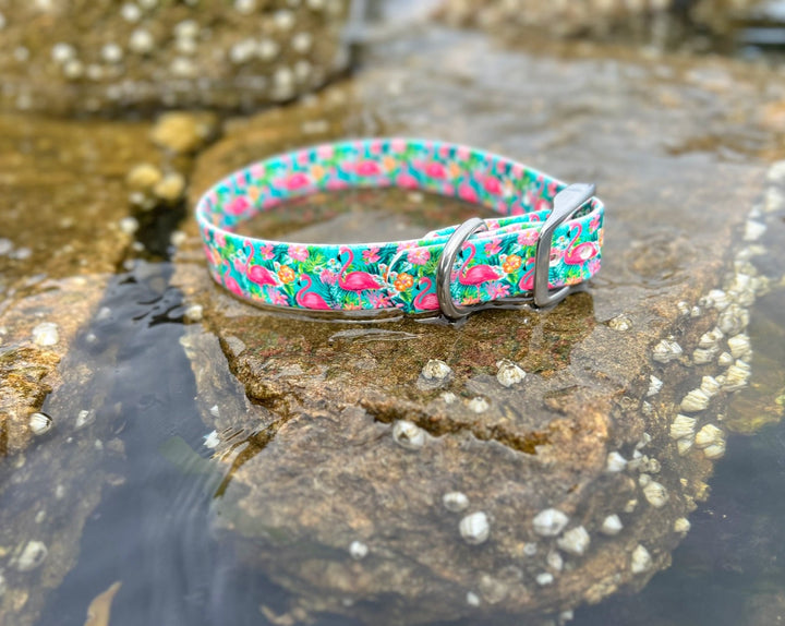 Tropical Flamingo Waterproof Dog Collar | SeaFlower Co