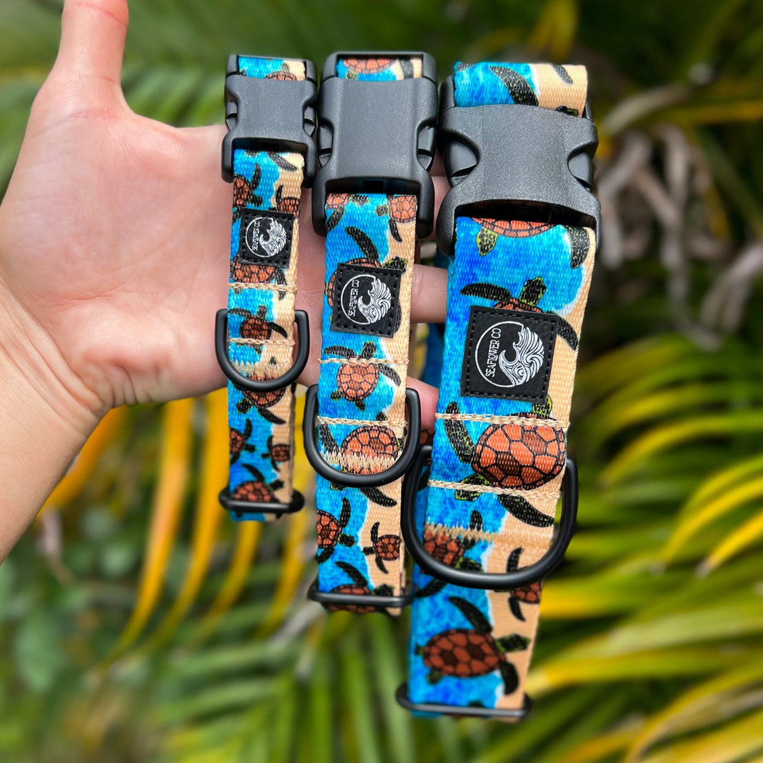 Sea Turtle Dog Collar | SeaFlower Co