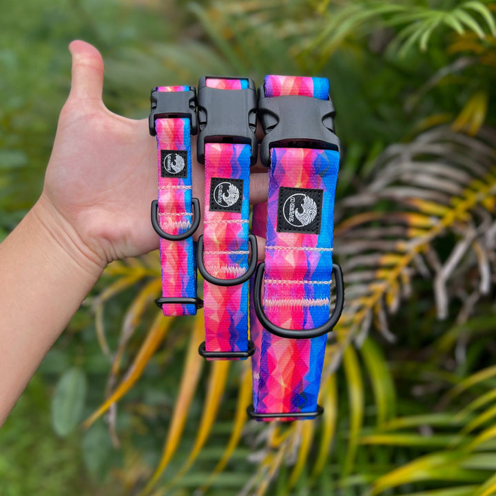 Vibrant Abstract Dog Collar | SeaFlower Co