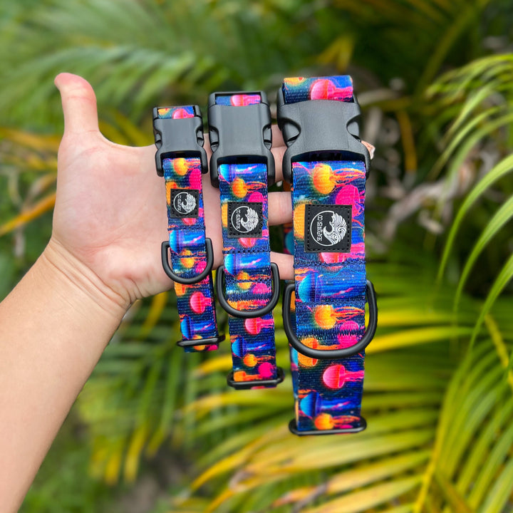 Jellyfish Dog Collar