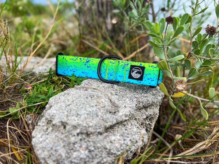Green Dorado
