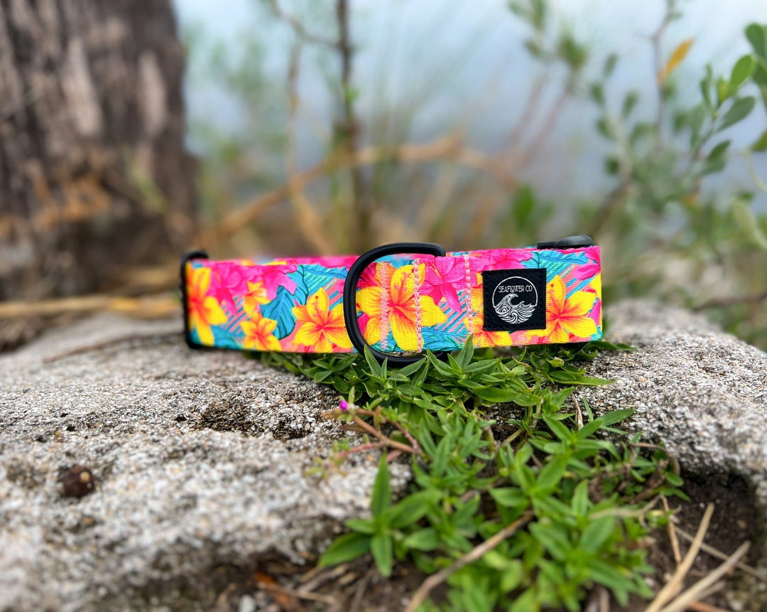 Yellow Hawaiian Floral Dog Collar | SeaFlower Co