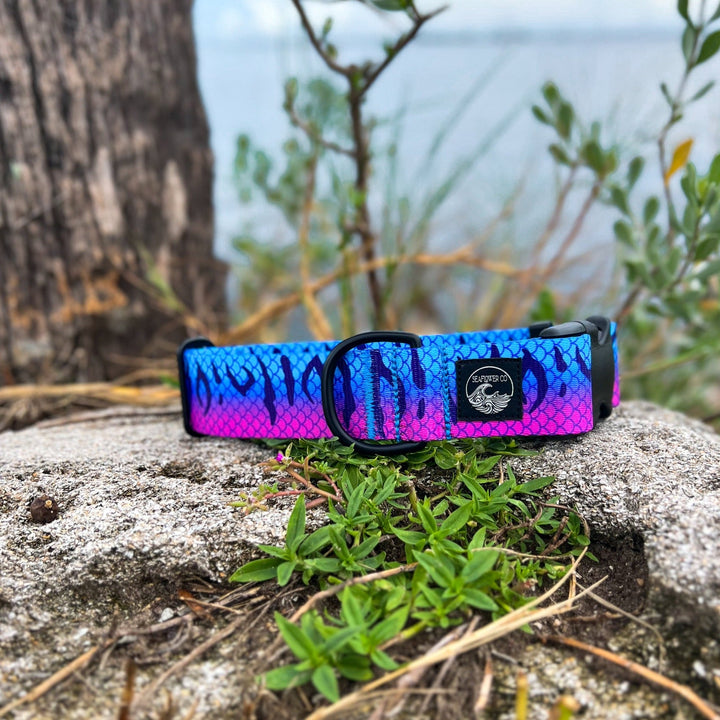 Purple Mackerel Dog Collar | SeaFlower Co