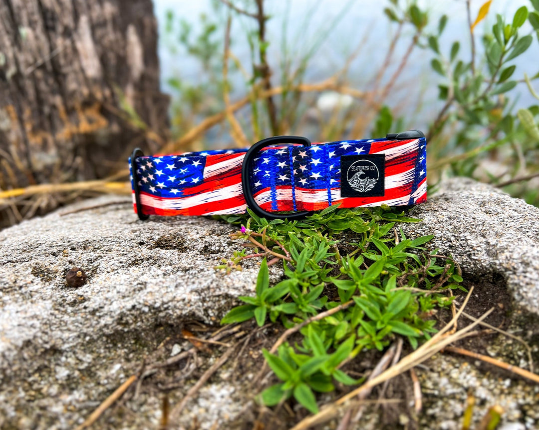 American Flags Dog Collar | SeaFlower Co