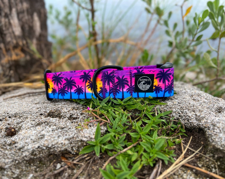 Sunset Beach Dog Collar | SeaFlower Co