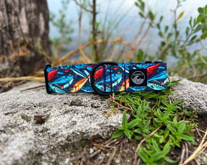 Fishing Lure Dog Collar | SeaFlower Co