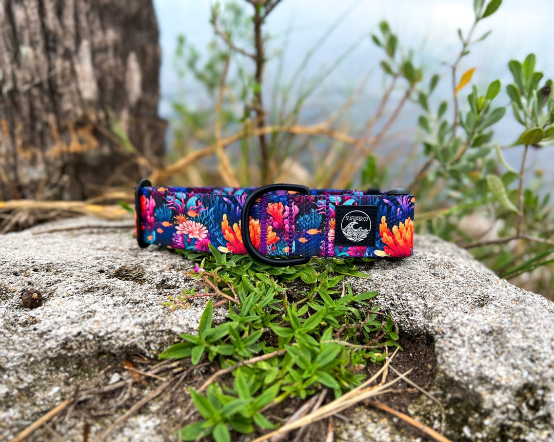 Coral Reef Dog Collar | SeaFlower Co