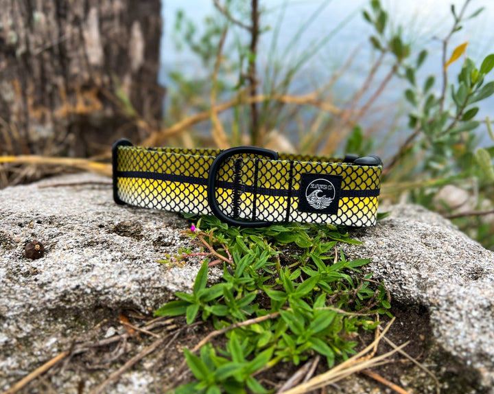 Snook Dog Collar | SeaFlower Co