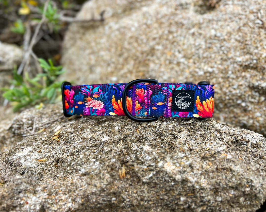 Coral Reef Dog Collar | SeaFlower Co