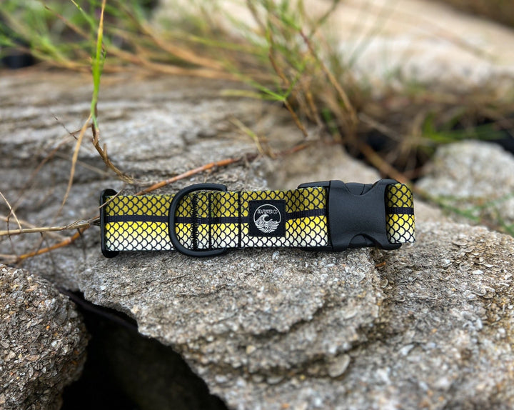 Snook Dog Collar | SeaFlower Co