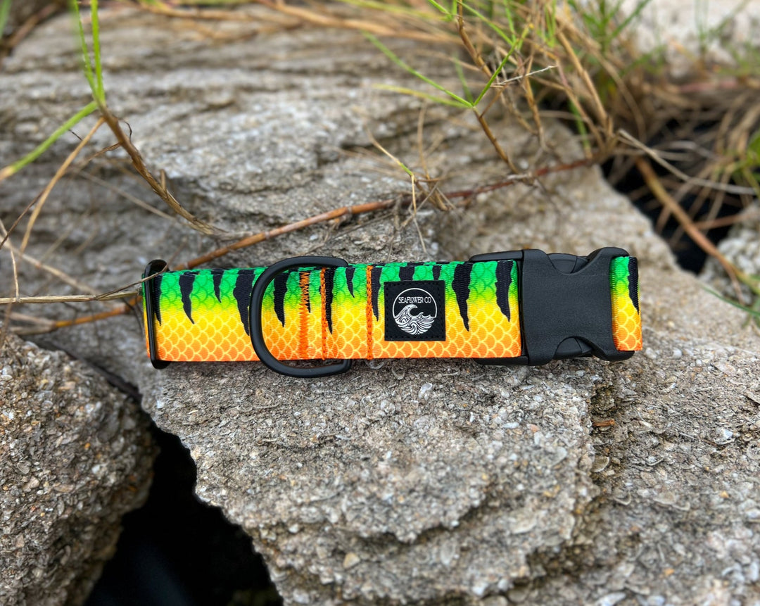 Fire Tiger Dog Collar | SeaFlower Co