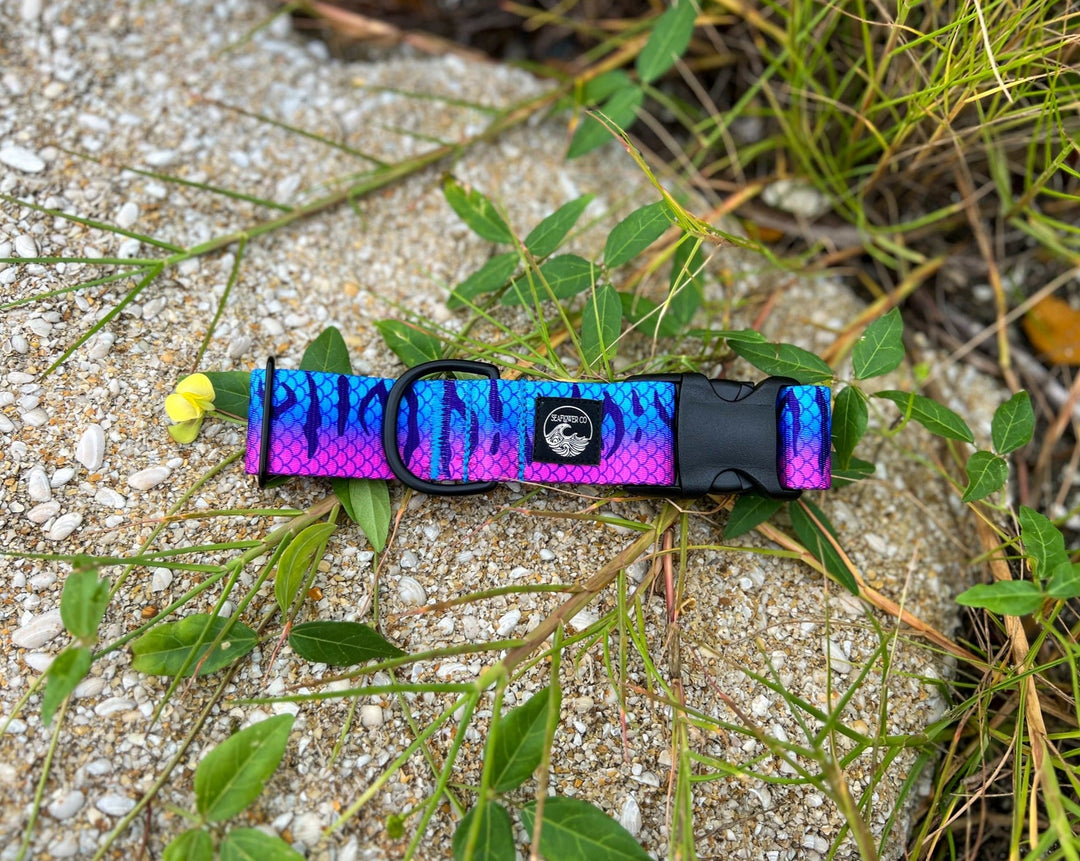 Purple Mackerel Dog Collar | SeaFlower Co