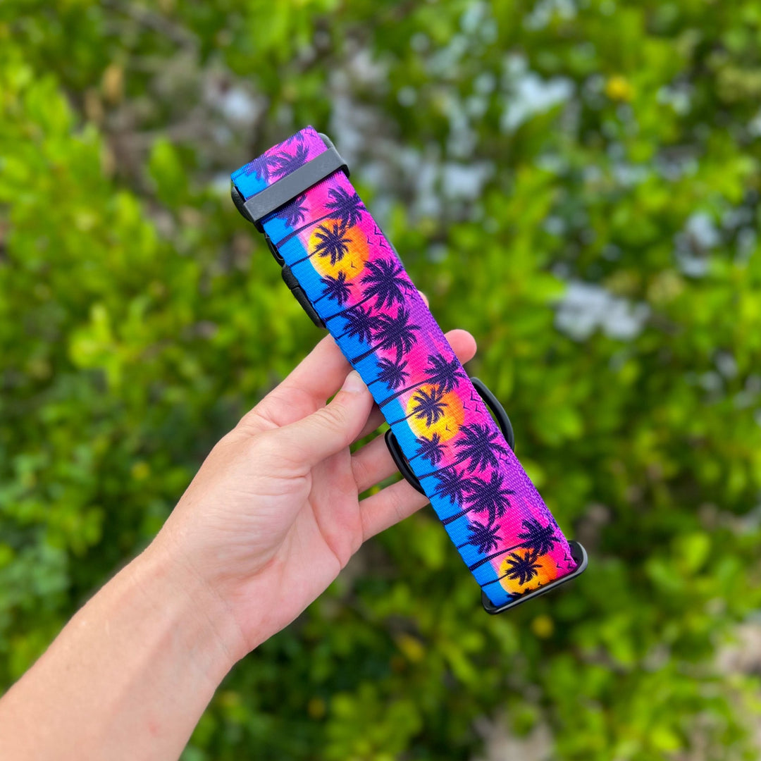 Sunset Beach Dog Collar | SeaFlower Co