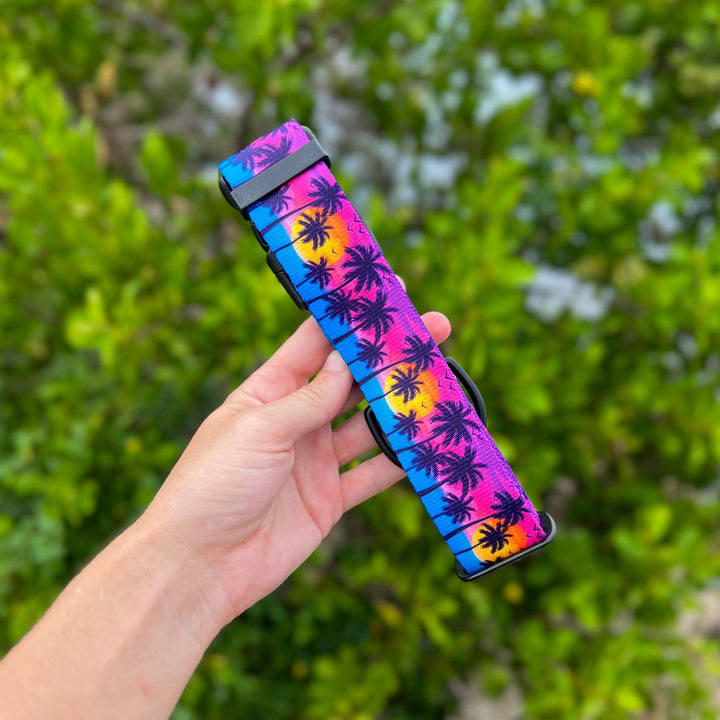 Sunset Beach Dog Collar | SeaFlower Co
