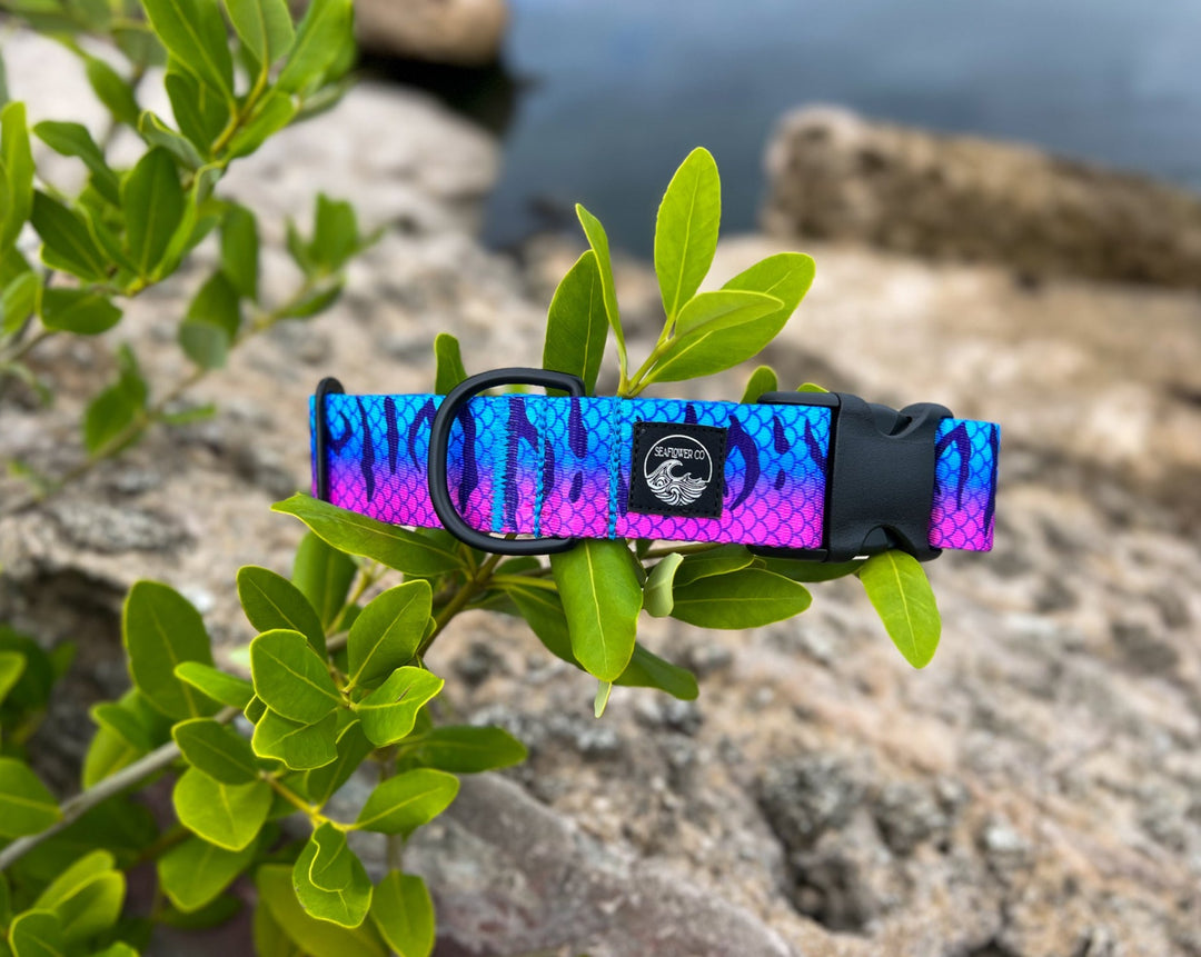Purple Mackerel Dog Collar | SeaFlower Co