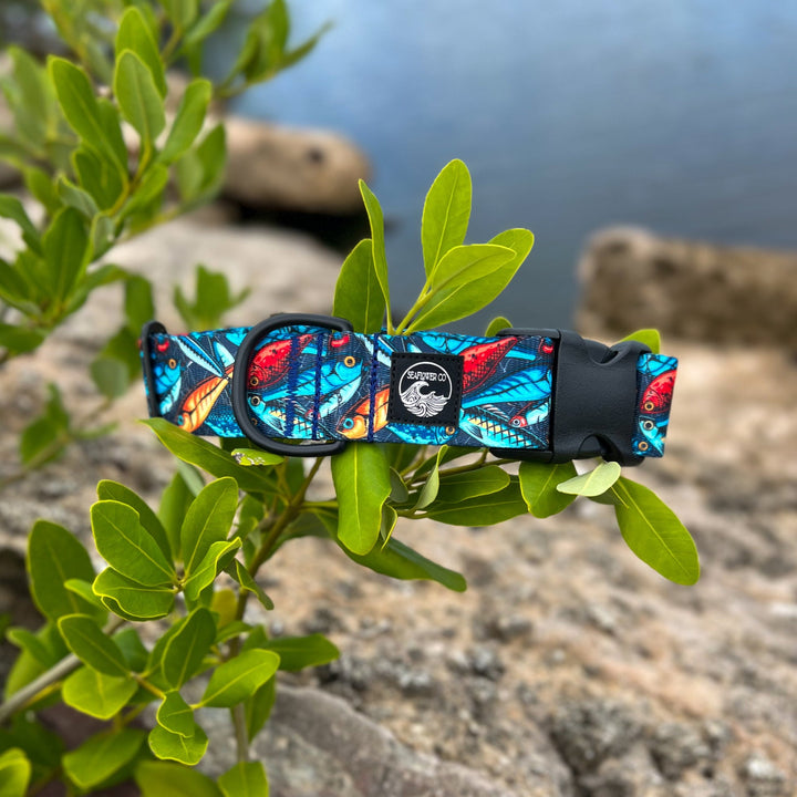 Fishing Lure Dog Collar | SeaFlower Co