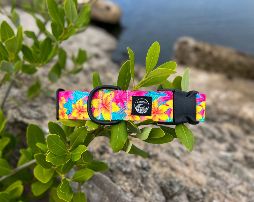 Yellow Hawaiian Floral Dog Collar | SeaFlower Co
