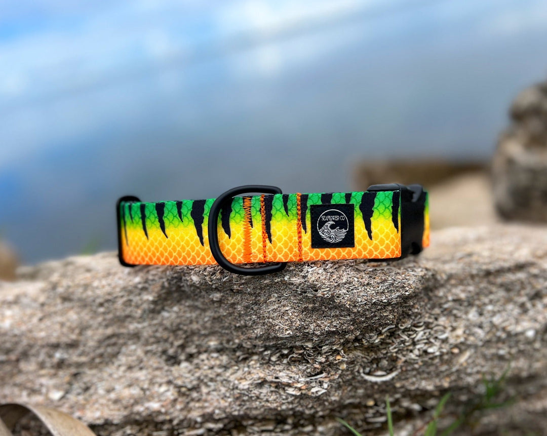 Fire Tiger Dog Collar | SeaFlower Co