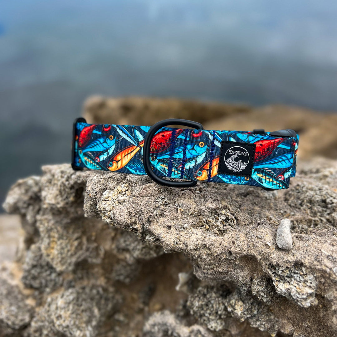 Fishing Lure Dog Collar | SeaFlower Co