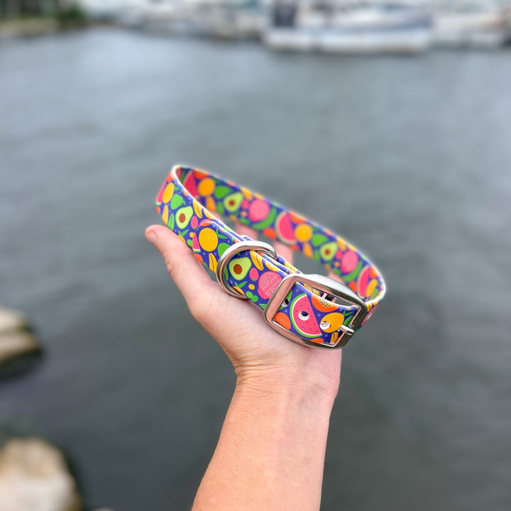 Tropical Fruit BioThane® Dog Collar | SeaFlower Co
