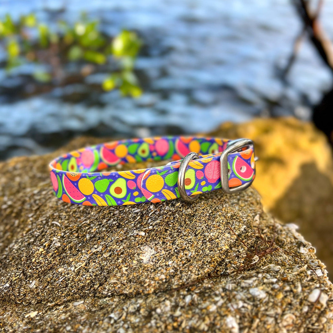 Tropical Fruit BioThane® Dog Collar | SeaFlower Co