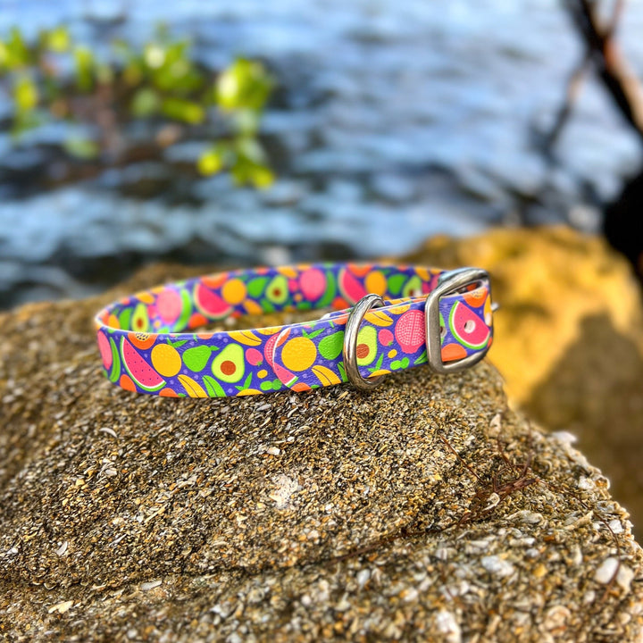 Tropical Fruit BioThane® Dog Collar | SeaFlower Co